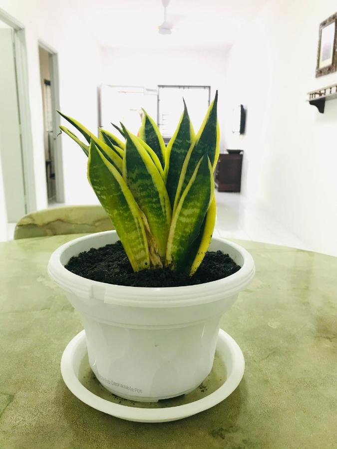 Alyn Home Batu Pahat II Wifi Coway Mohd Noor Buitenkant foto